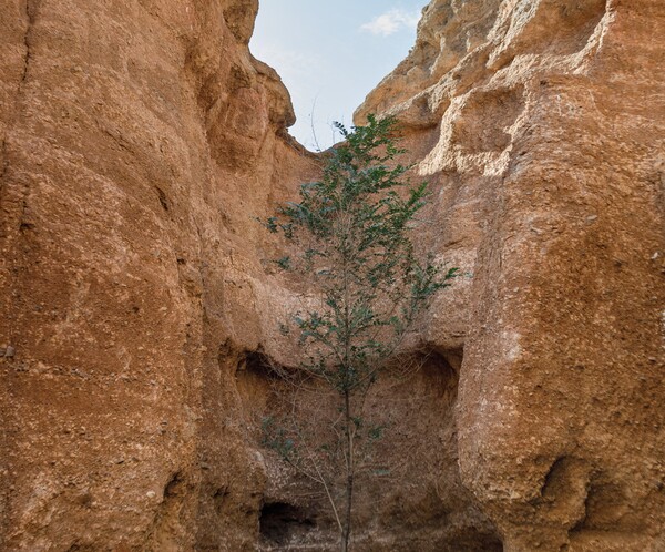 Миоценовое ущелье