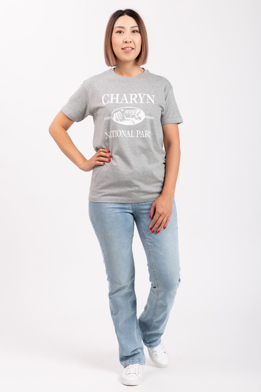 ЧР Футболка с Каньоном 